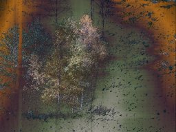 Herbstwald